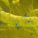 Hidden Virus Found in Gut Bacteria Is Linked to Colorectal Cancer : ScienceAlert