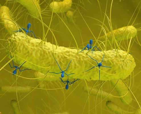 Hidden Virus Found in Gut Bacteria Is Linked to Colorectal Cancer : ScienceAlert