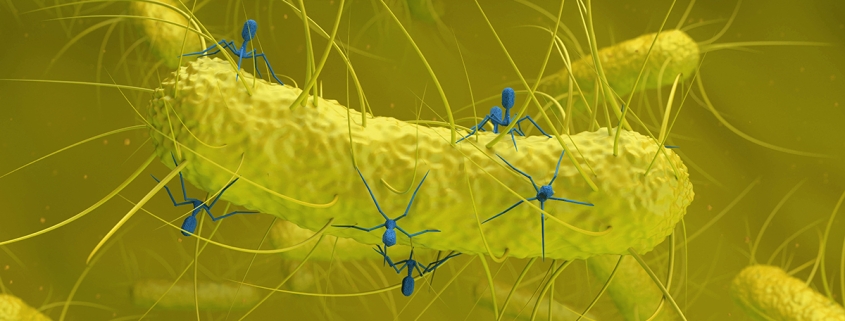 Hidden Virus Found in Gut Bacteria Is Linked to Colorectal Cancer : ScienceAlert