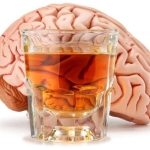 The Brain May Be Wired for Drinking Before the First Sip