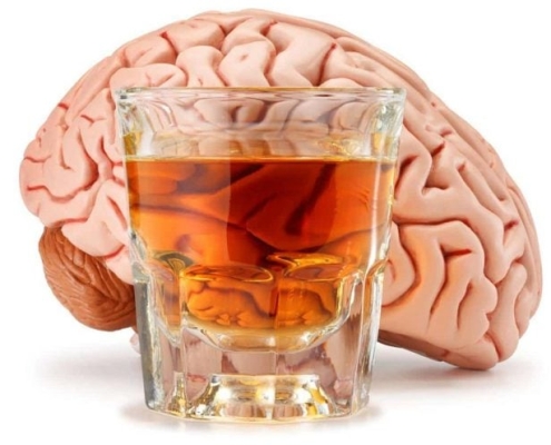 The Brain May Be Wired for Drinking Before the First Sip