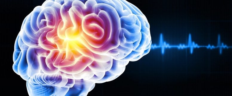 Sleep Deprivation Triggers a Strange Brain Cleanup