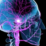 Study Reveals an Unexpected Way to Boost Recovery After a Stroke : ScienceAlert