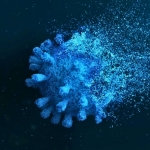 ‘Zombie’ Remnants of COVID-19 Hunt In Packs And Kill Our Immune Cells : ScienceAlert