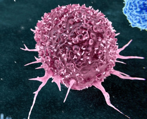 Cancer-Causing Habits, Poop Transplants, And More! : ScienceAlert Cancer-Causing Habits, Poop Transplants, And More! : ScienceAlert