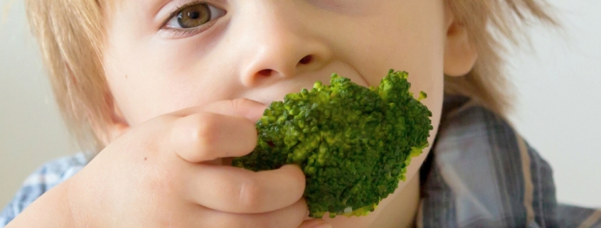 Is Your Child a Picky Eater? Here’s One Thing to Try : ScienceAlert Is Your Child a Picky Eater? Here’s One Thing to Try : ScienceAlert