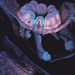 A Microscopic Coral Trick Could Help Save the Great Barrier Reef A Microscopic Coral Trick Could Help Save the Great Barrier Reef