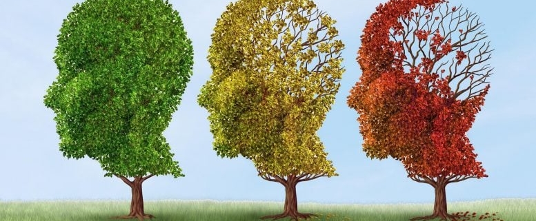 Lifelong Learning Linked to 38% Lower Alzheimer’s Risk