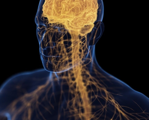 ‘Brain-Bone-Axis’ May Link Depression With Osteoporosis, Study Claims : ScienceAlert