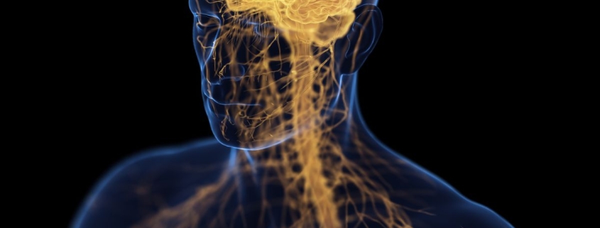 ‘Brain-Bone-Axis’ May Link Depression With Osteoporosis, Study Claims : ScienceAlert