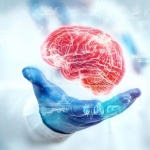 Aging Rewrites the Brain’s Protein Code – and Scientists Just Found the Switch