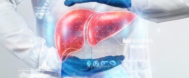 20-Year Mystery Solved: Scientists Discover an Entirely New Way Cells Transport Bile Acids