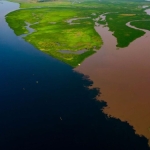 Earth’s Largest Land-Based Carbon Sink Has Sprung a Disturbing Leak