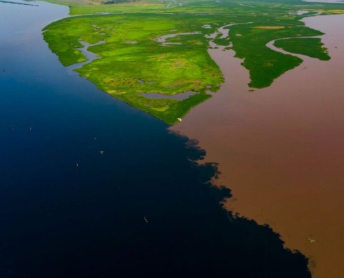 Earth’s Largest Land-Based Carbon Sink Has Sprung a Disturbing Leak