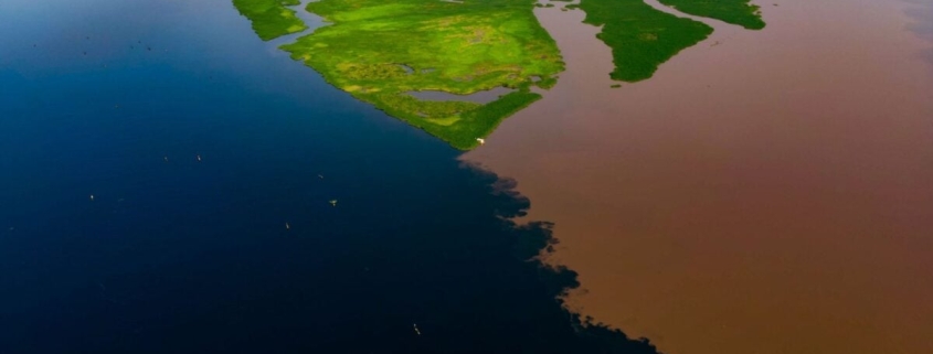 Earth’s Largest Land-Based Carbon Sink Has Sprung a Disturbing Leak