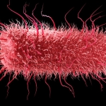 All Life on Earth Shares an Ancestor – And Some of Our Genes Predate It : ScienceAlert