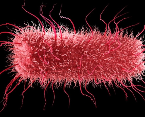 All Life on Earth Shares an Ancestor – And Some of Our Genes Predate It : ScienceAlert