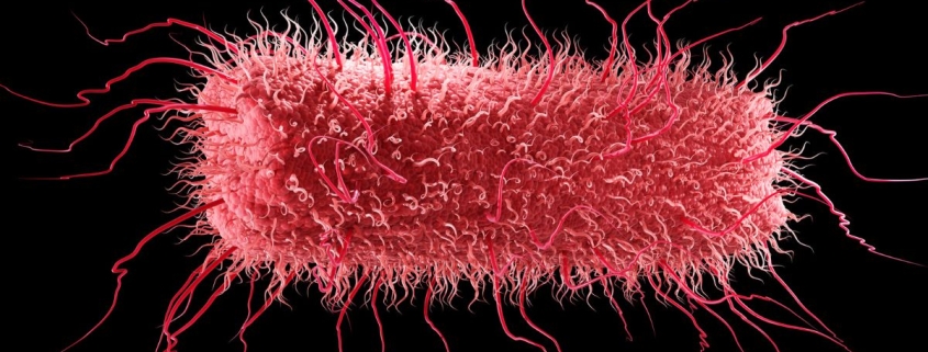 All Life on Earth Shares an Ancestor – And Some of Our Genes Predate It : ScienceAlert