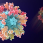 First multi-coronavirus vaccine enters human testing, built on UW Medicine technology