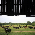 Data center builders thought farmers would willingly sell land, learn otherwise Data center builders thought farmers would willingly sell land, learn otherwise