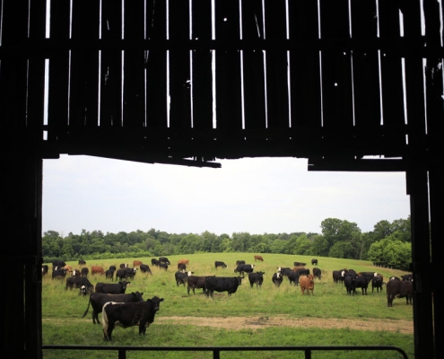 Data center builders thought farmers would willingly sell land, learn otherwise