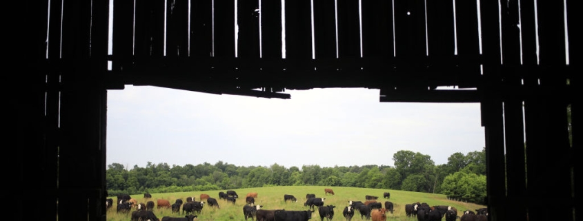 Data center builders thought farmers would willingly sell land, learn otherwise Data center builders thought farmers would willingly sell land, learn otherwise