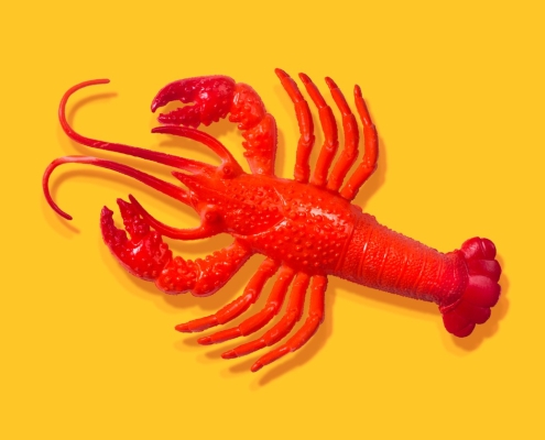 After all the hype, some AI experts don’t think OpenClaw is all that exciting