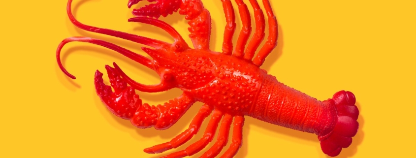 After all the hype, some AI experts don’t think OpenClaw is all that exciting After all the hype, some AI experts don’t think OpenClaw is all that exciting