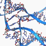 Tiny, 45 base long RNA can make copies of itself