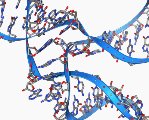 Tiny, 45 base long RNA can make copies of itself