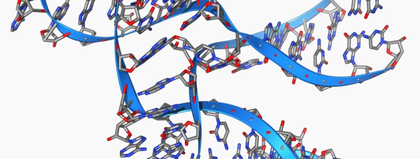 Tiny, 45 base long RNA can make copies of itself Tiny, 45 base long RNA can make copies of itself