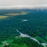 COVID-19 cleared the skies but also supercharged methane emissions