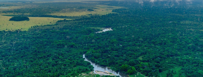 COVID-19 cleared the skies but also supercharged methane emissions