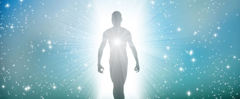 Scientists Discover Natural Compounds With Unexpected Benefits for Skin, Anti-Aging, and Heart Health