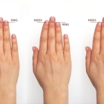 Scientists Say Your Fingers Hold a Secret of Brain Evolution