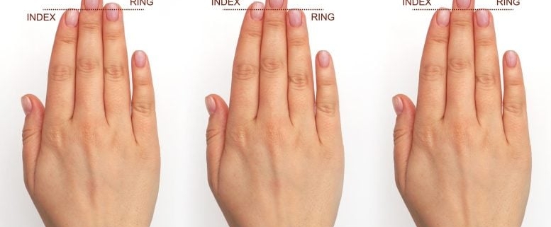 Scientists Say Your Fingers Hold a Secret of Brain Evolution