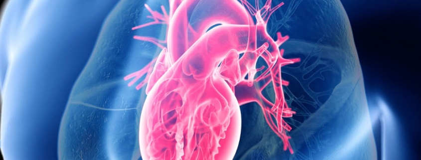 Giant Study Reveals The Secret to Heart Health, And It’s Not Low-Carb or Low-Fat : ScienceAlert