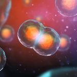 This Hidden 3D DNA Structure Changes What We Know About Cells