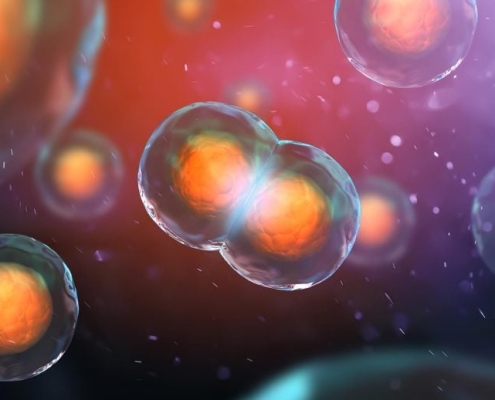 This Hidden 3D DNA Structure Changes What We Know About Cells