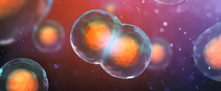 This Hidden 3D DNA Structure Changes What We Know About Cells