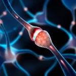 New Research Targets the Root Cause of Chronic Nerve Pain – Not Just Symptoms