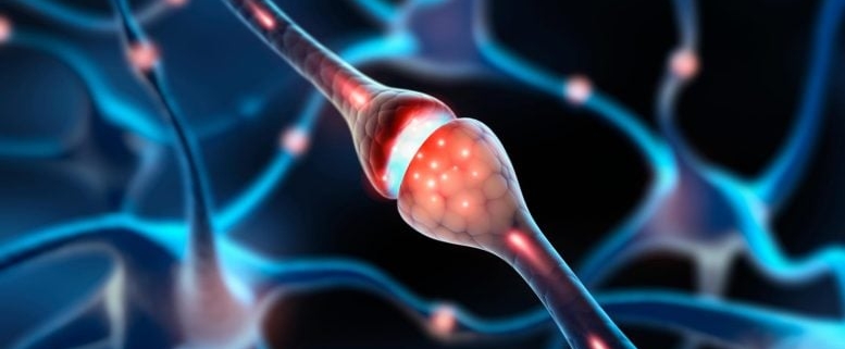 New Research Targets the Root Cause of Chronic Nerve Pain – Not Just Symptoms New Research Targets the Root Cause of Chronic Nerve Pain – Not Just Symptoms