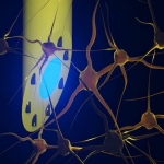 A Needle-Thin Implant Could Transform How Scientists Study and Treat the Brain