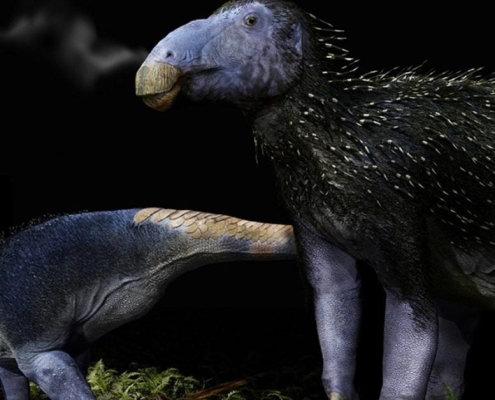 This 125 Million-Year-Old Dinosaur Had Spikes Like a Porcupine