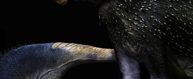 This 125 Million-Year-Old Dinosaur Had Spikes Like a Porcupine This 125 Million-Year-Old Dinosaur Had Spikes Like a Porcupine