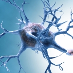 Mars Molecules, a Cholesterol-Cutting Compound, And More! : ScienceAlert Mars Molecules, a Cholesterol-Cutting Compound, And More! : ScienceAlert