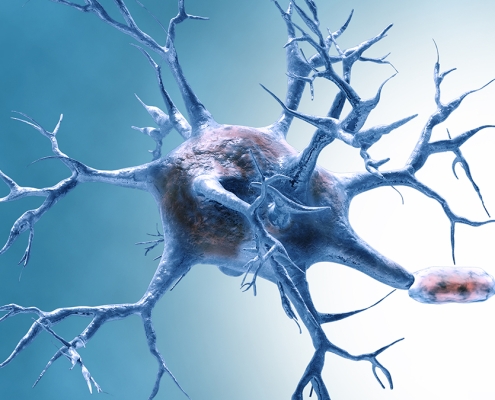 Mars Molecules, a Cholesterol-Cutting Compound, And More! : ScienceAlert