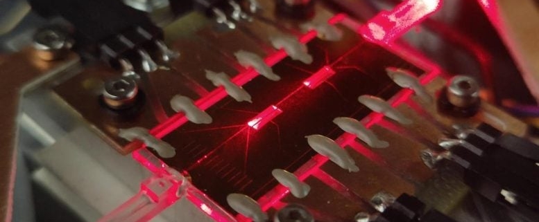 Physicists Turn Ordinary Glass Into a High-Speed Quantum Security Device