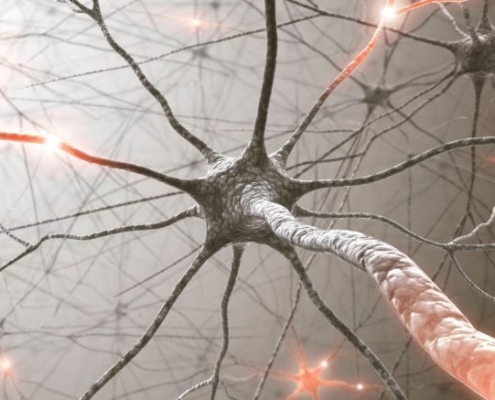 Scientists Uncover Key Aging Protein That May Trigger Neurodegenerative Disease