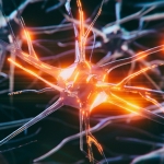 Some Brain Cells Resist Dementia, And Scientists Finally Know Why : ScienceAlert